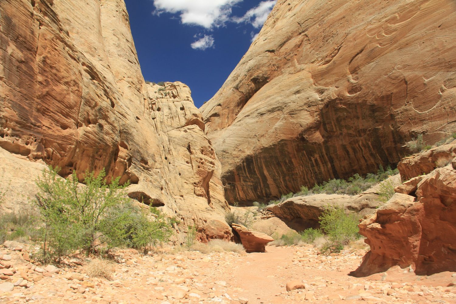 Capitol Reef