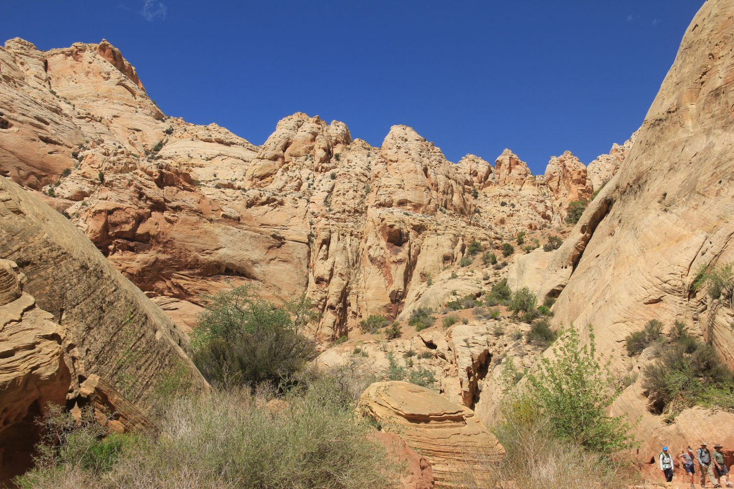 Capitol Reef