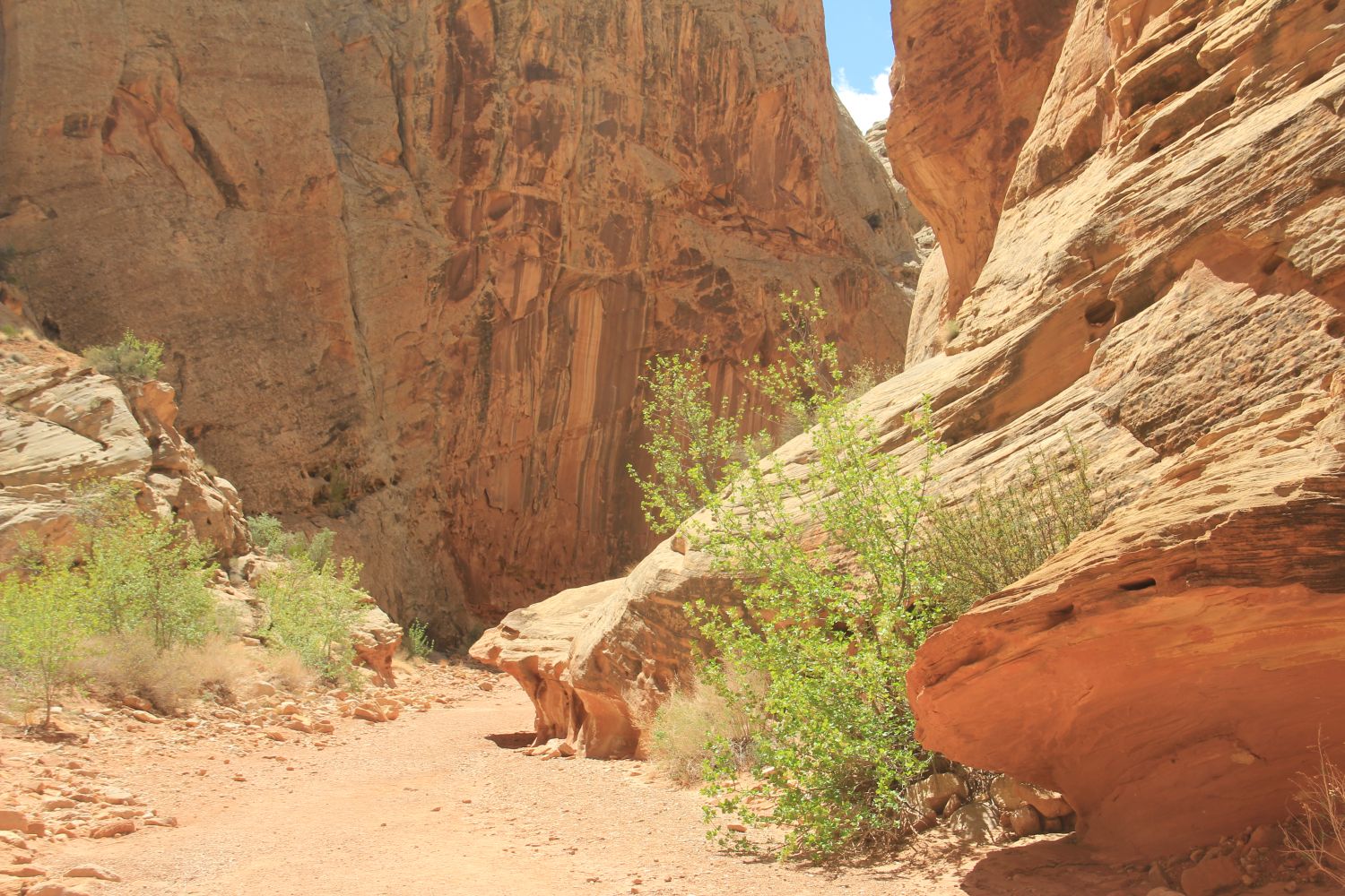 Capitol Reef