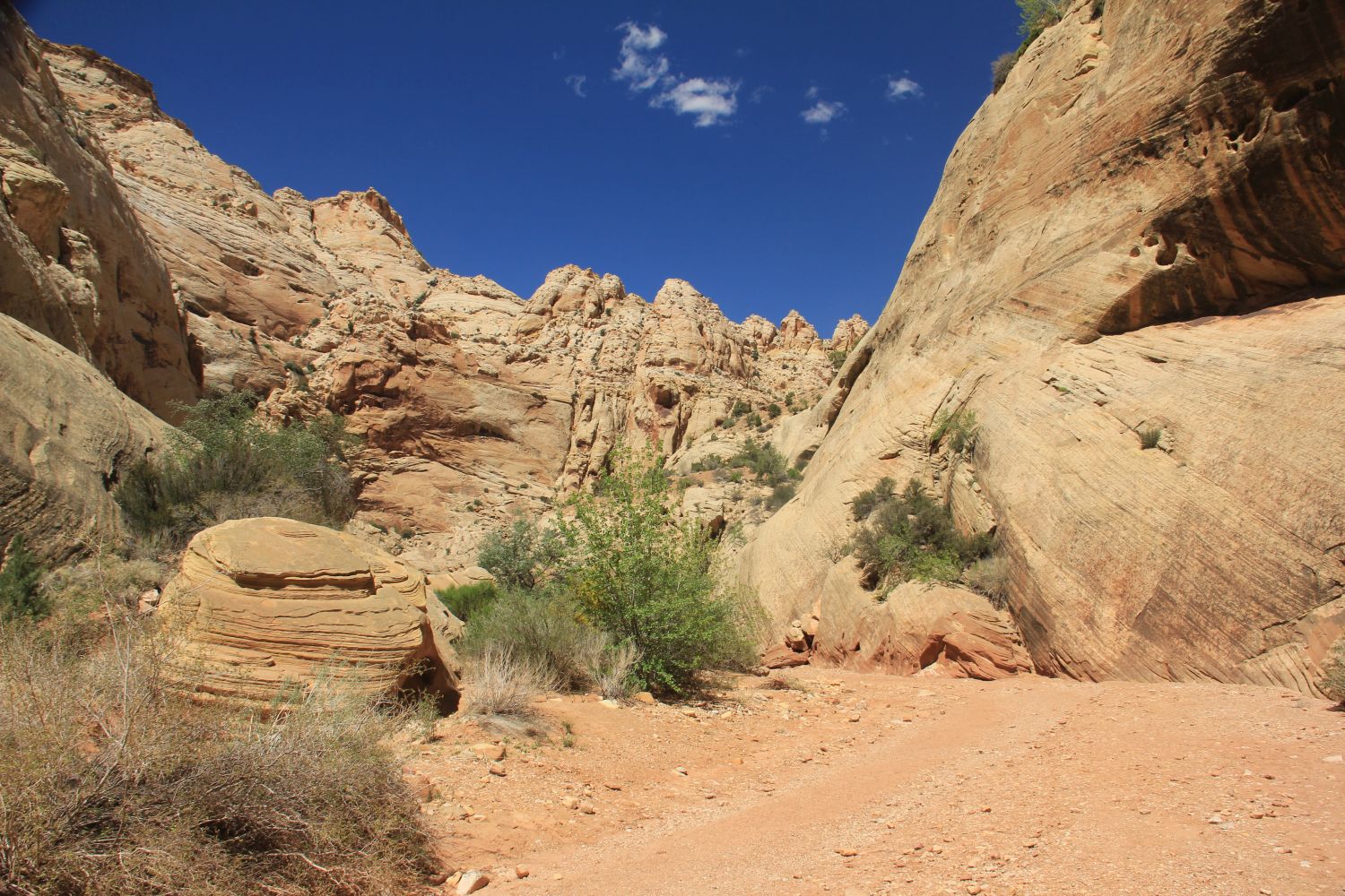 Capitol Reef