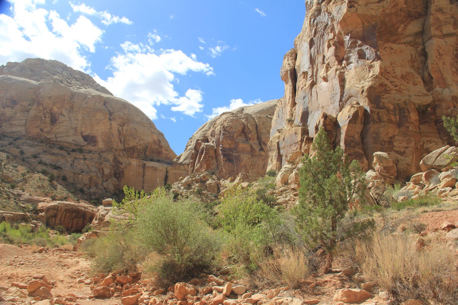 Capitol Reef