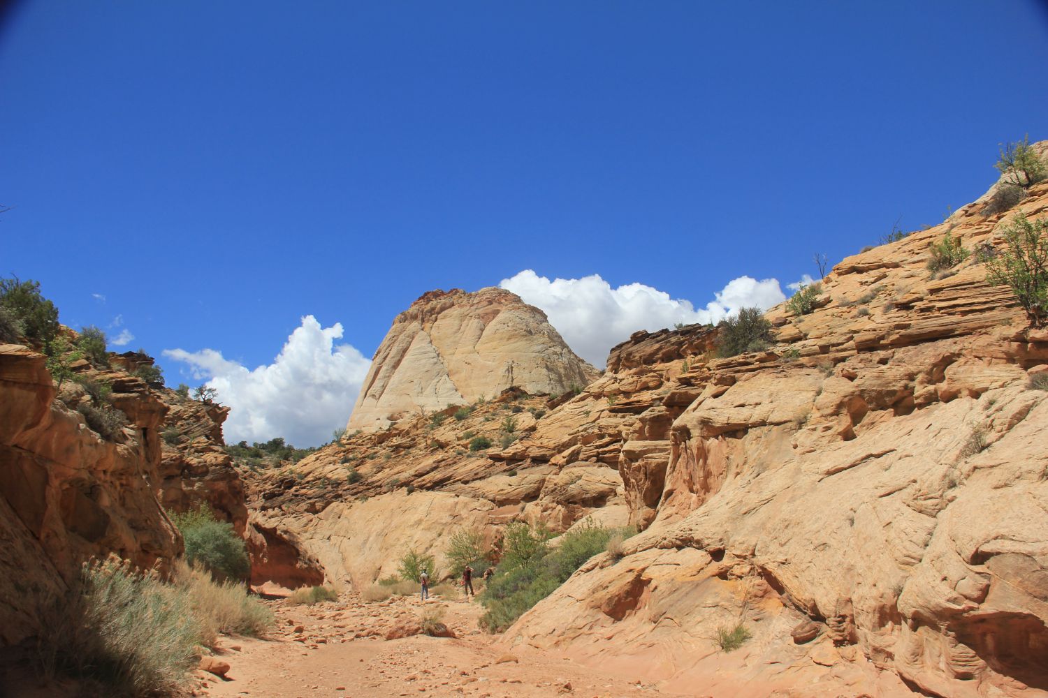 Slick Rock