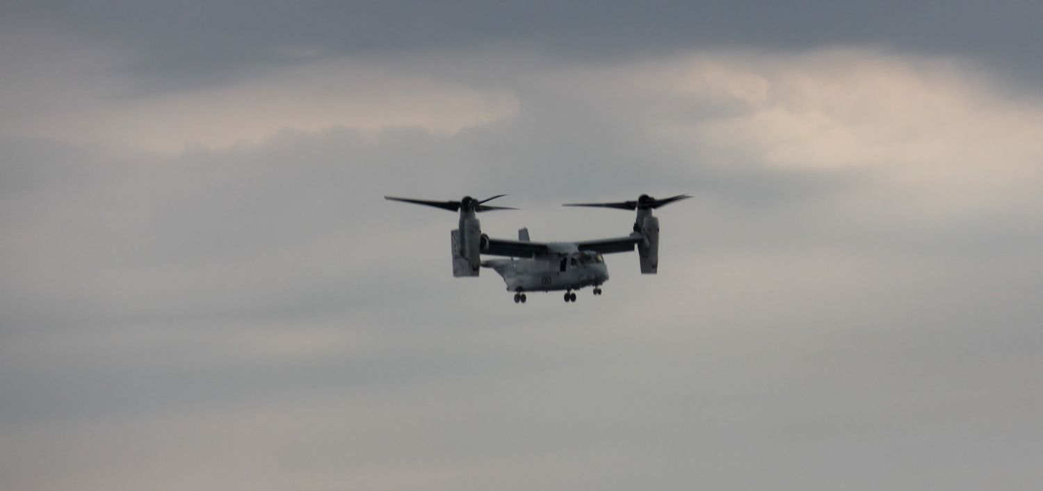 Osprey