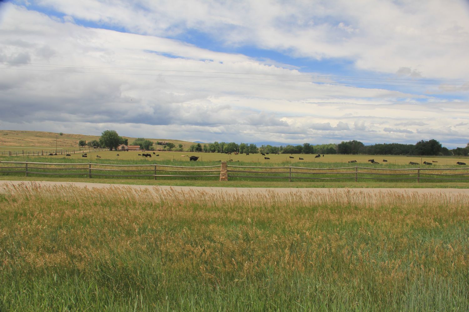 Poudre Trail