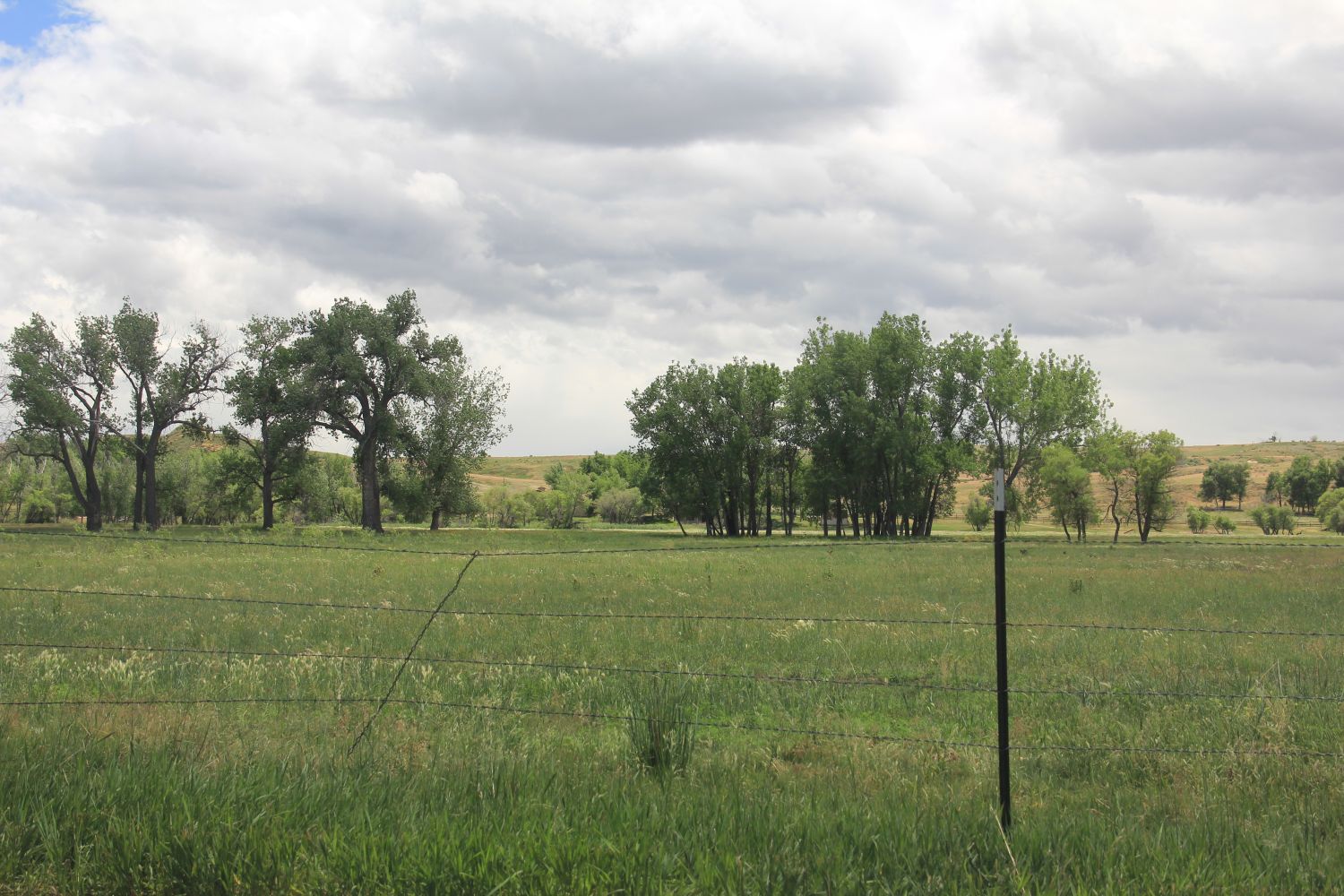 Poudre Trail