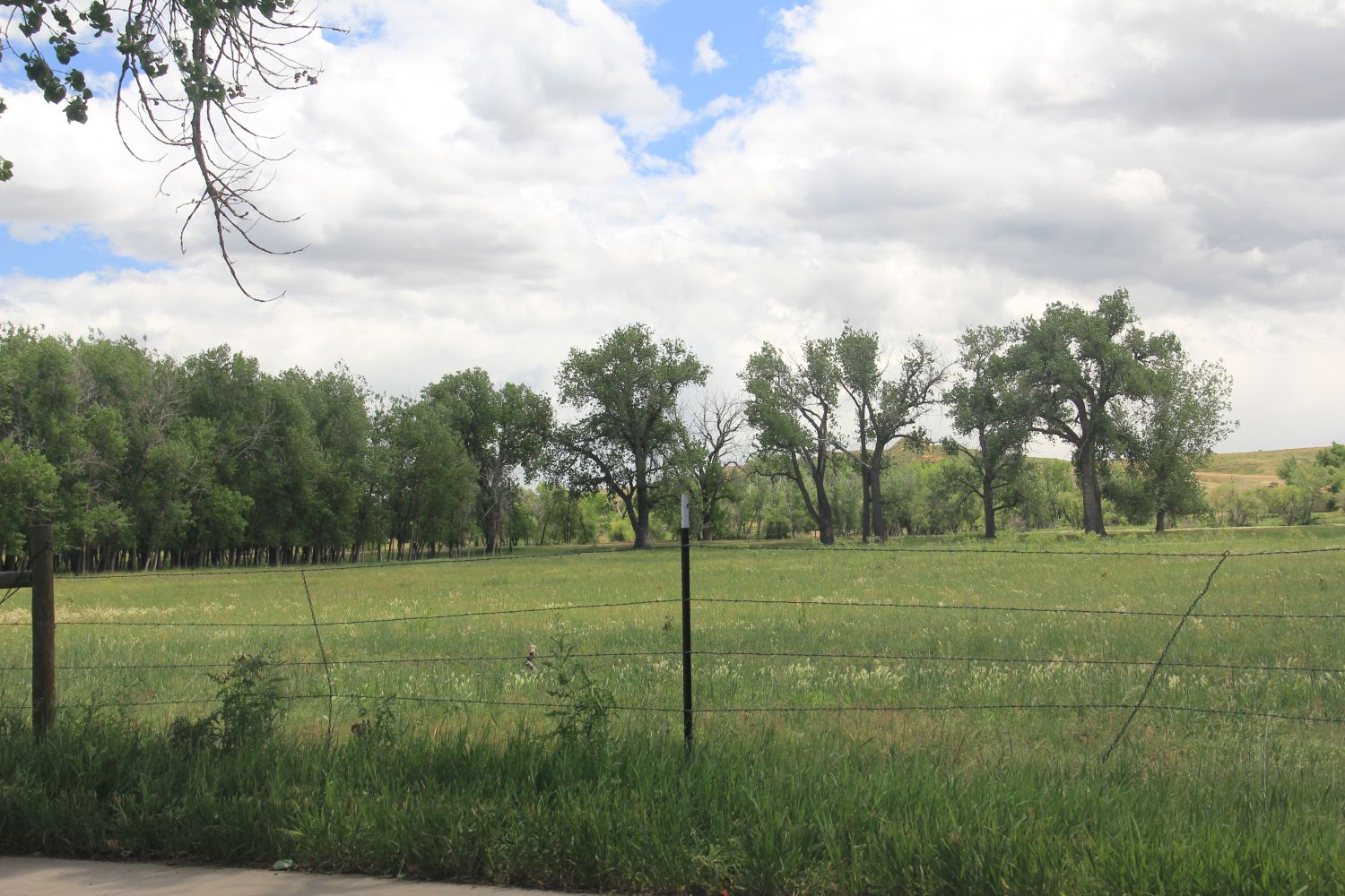 Poudre Trail