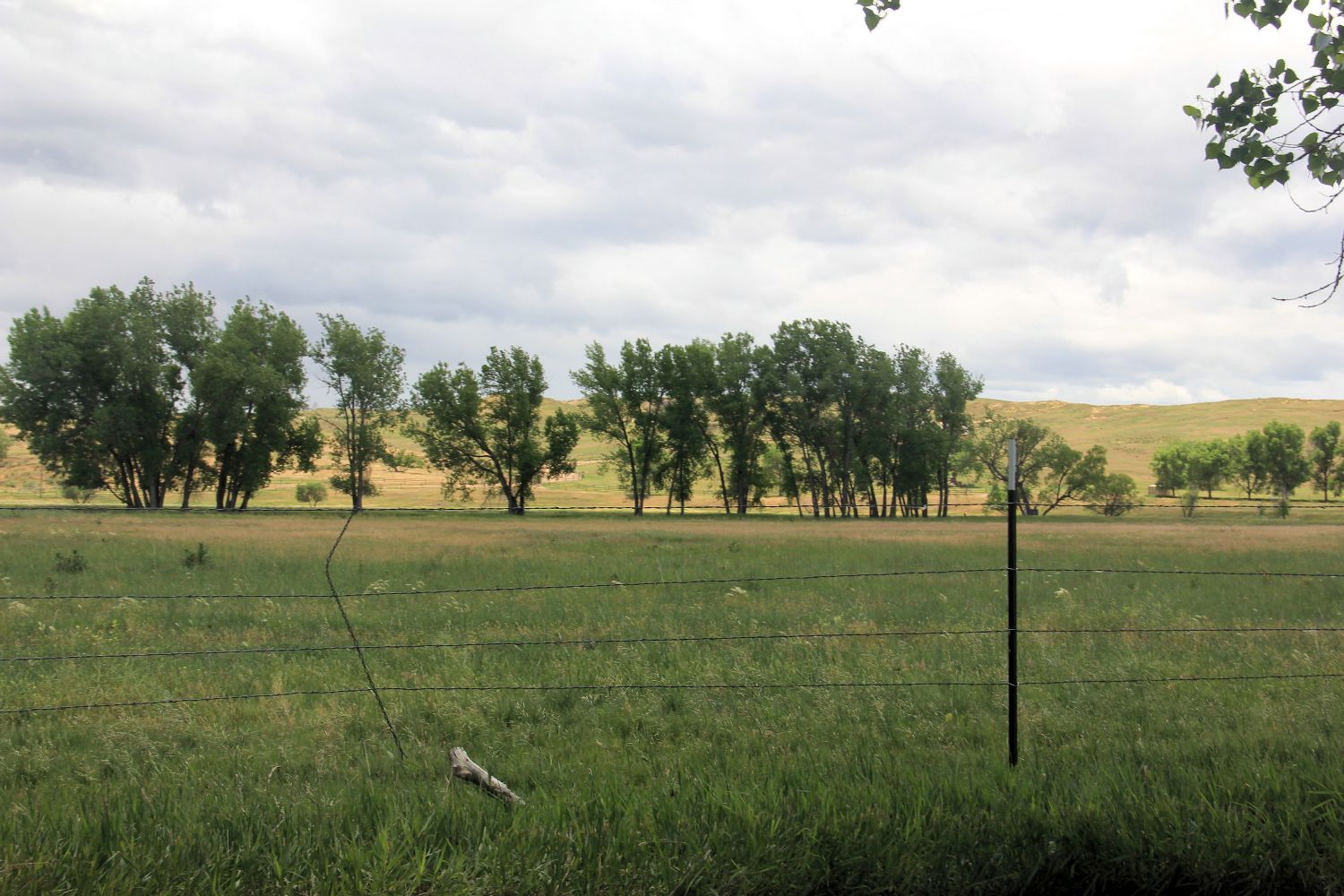 Poudre Trail