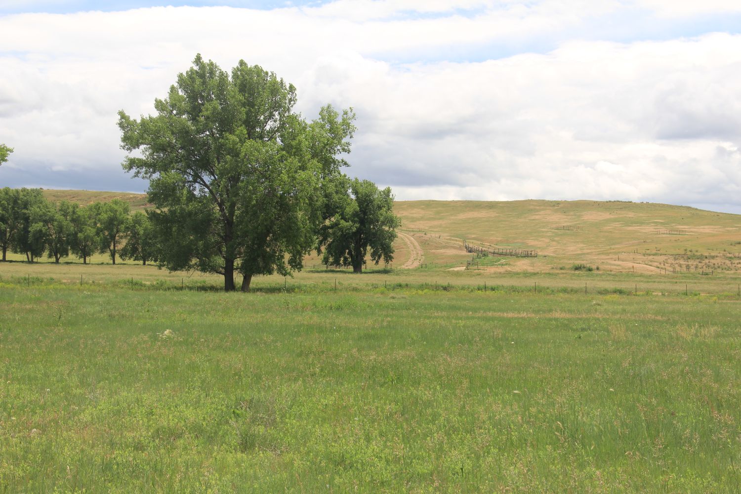 Poudre Trail