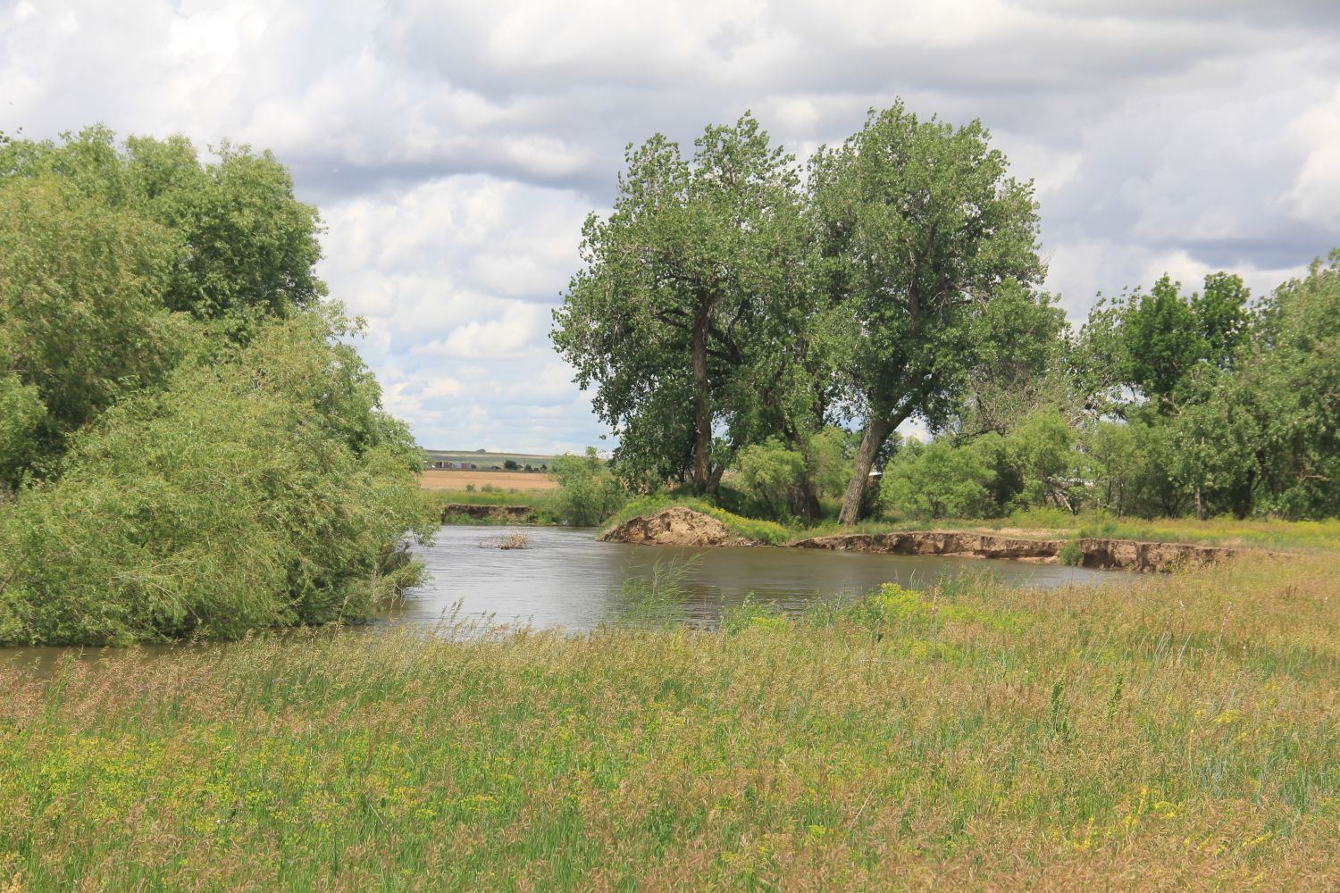 Poudre Trail