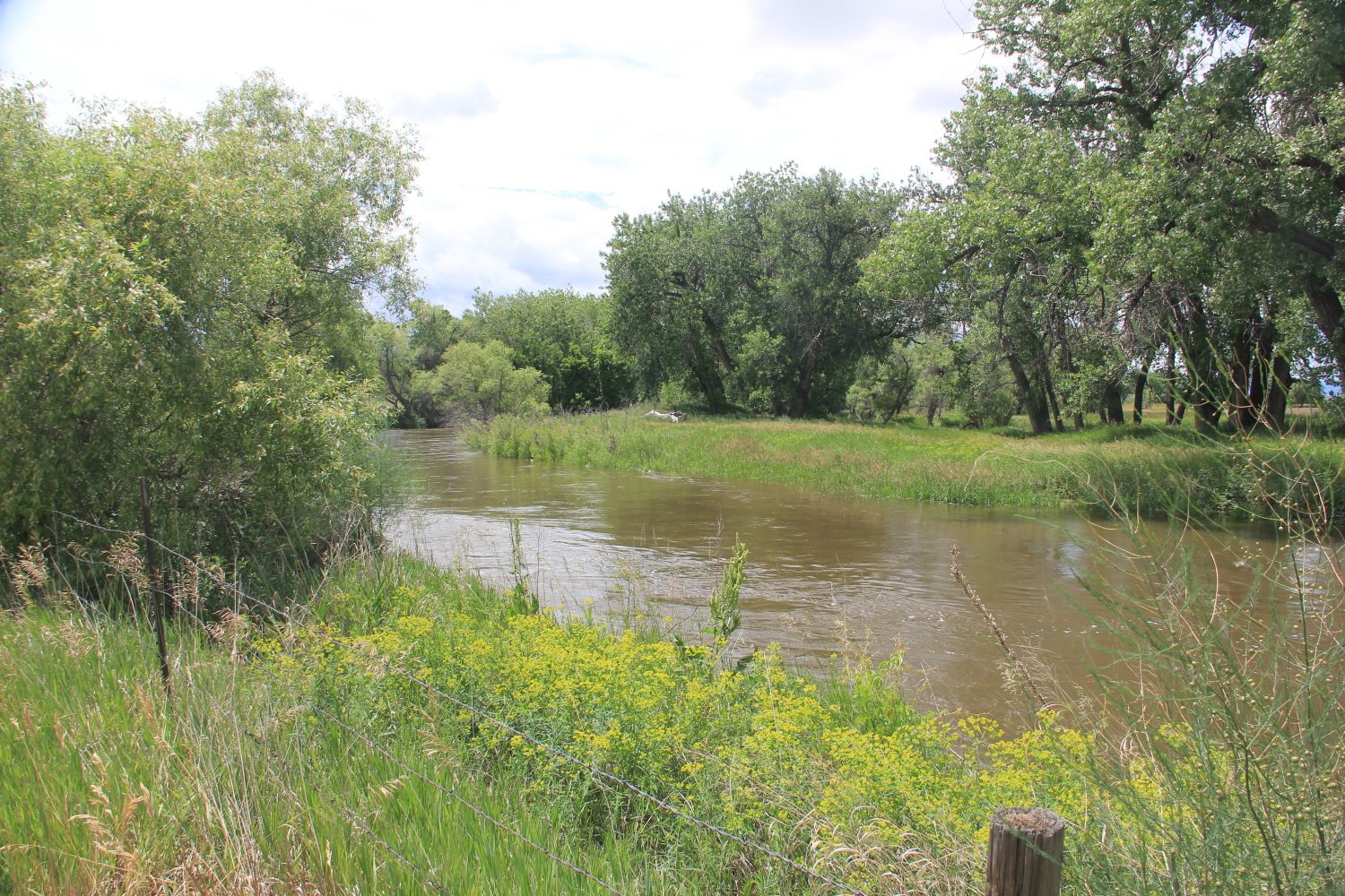 Poudre Trail