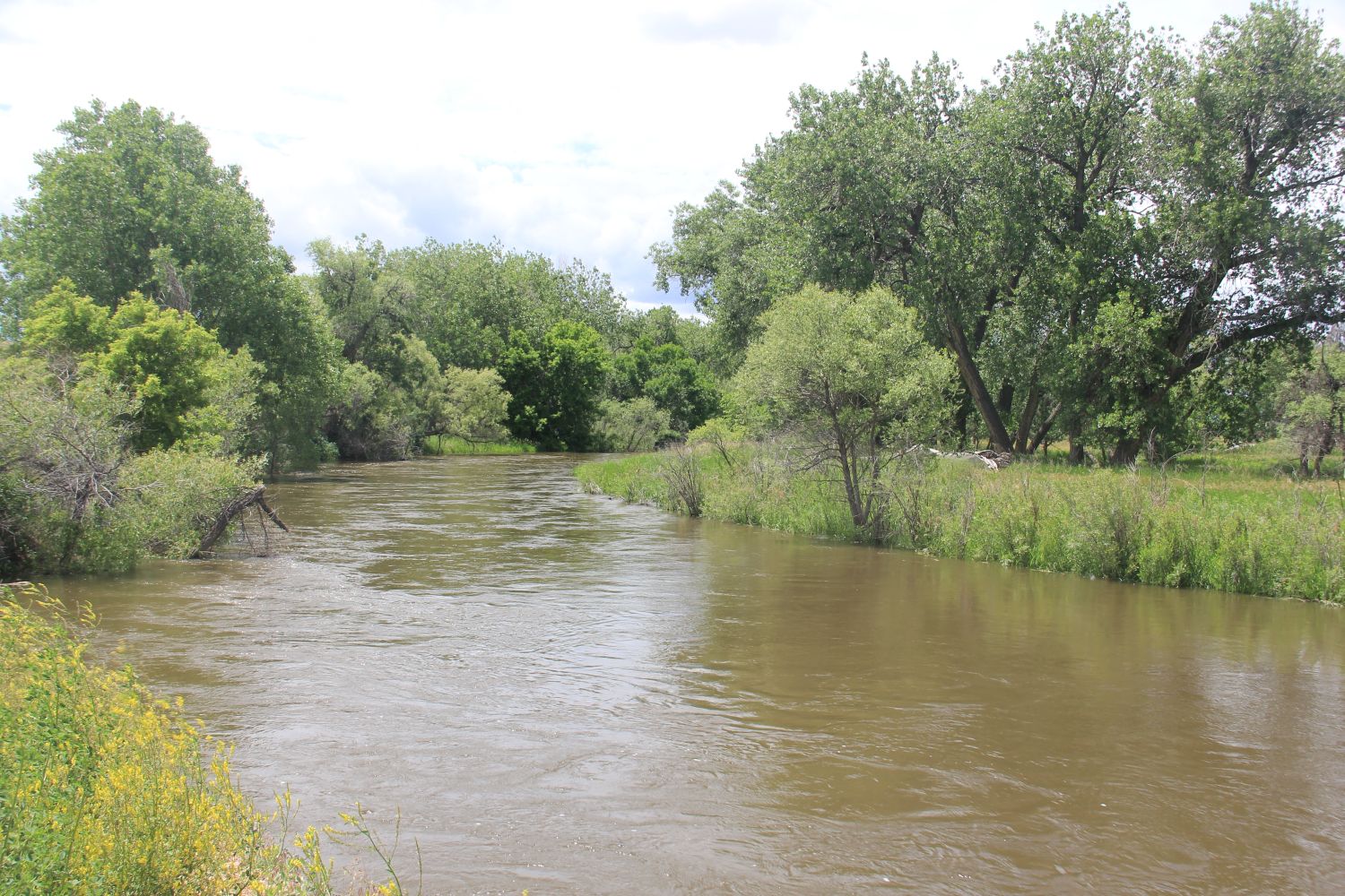 Poudre Trail