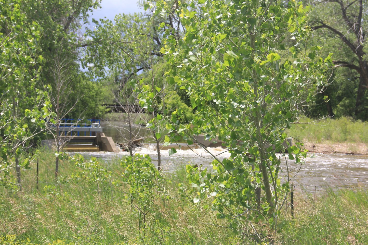 Poudre Trail