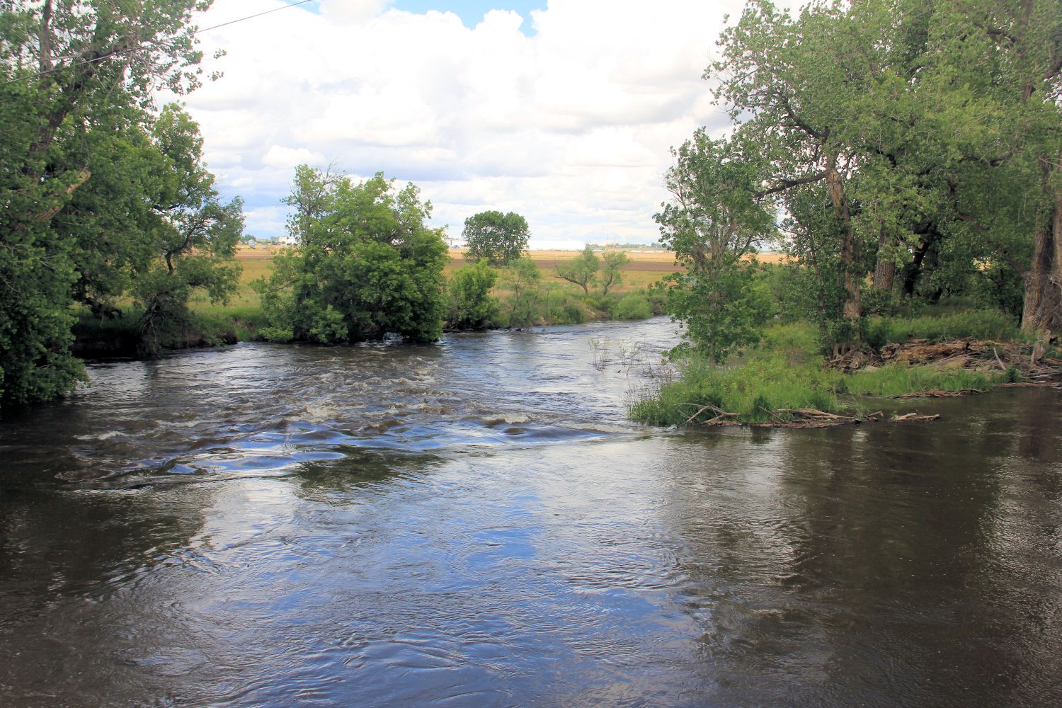 Poudre Trail