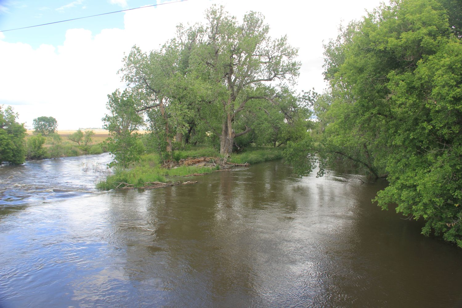 Poudre Trail