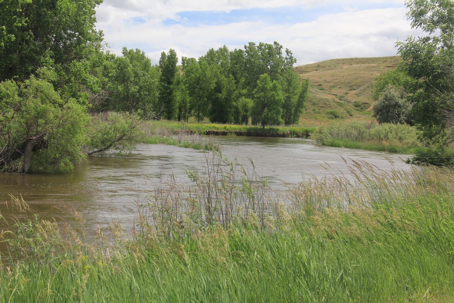 Poudre Trail