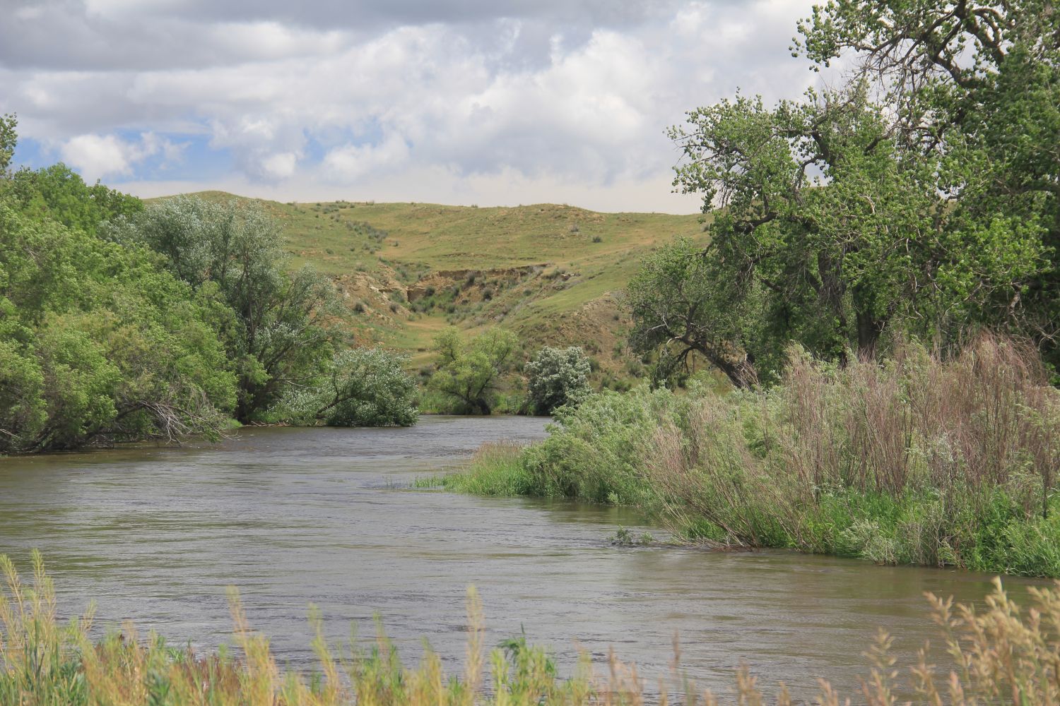 Poudre Trail