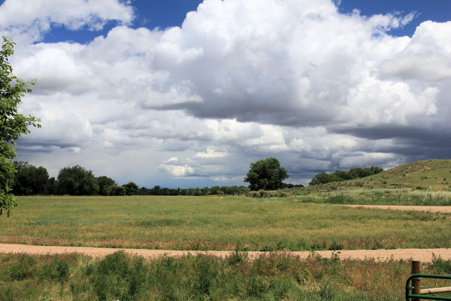 Poudre Trail