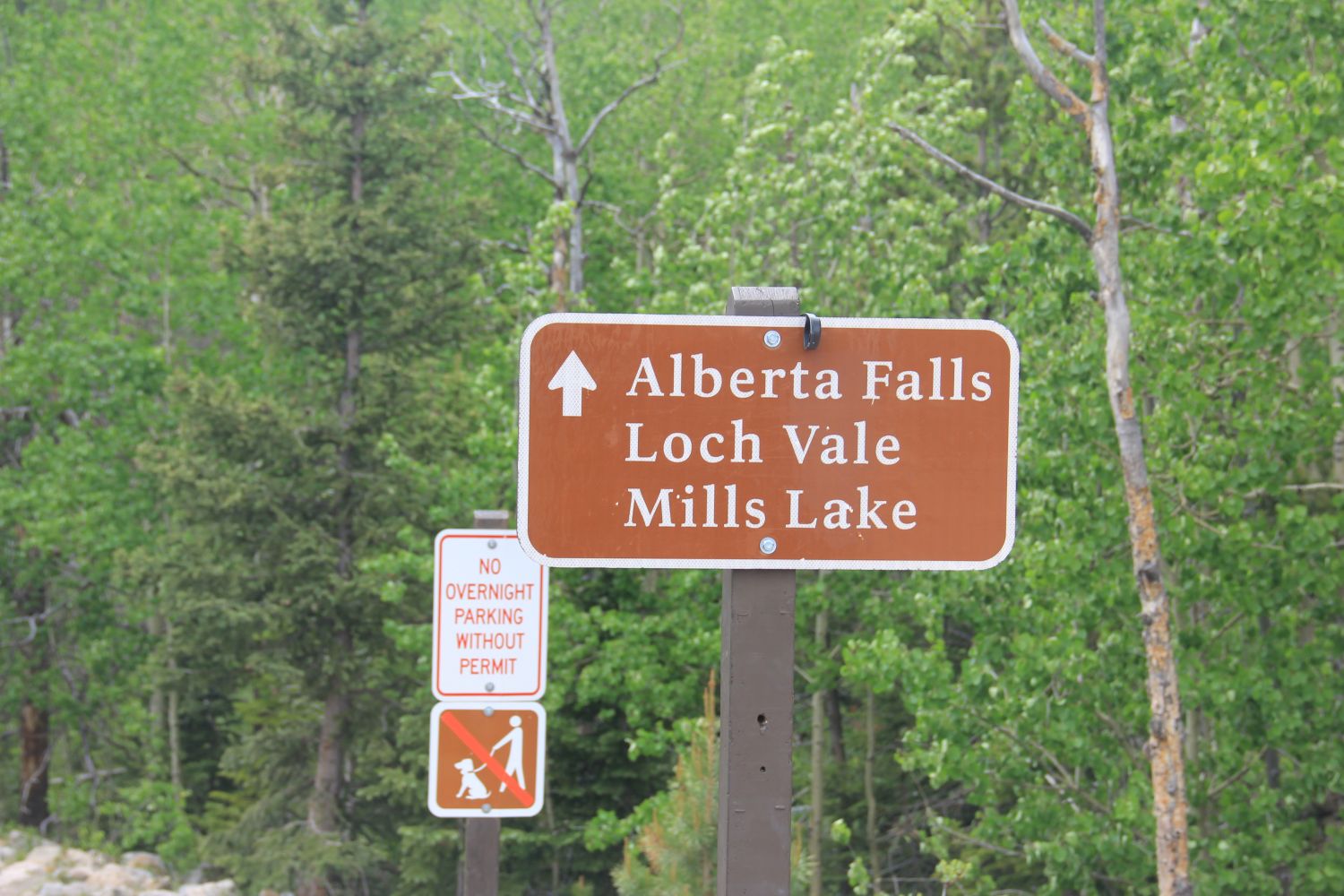 Alberta Falls Trail