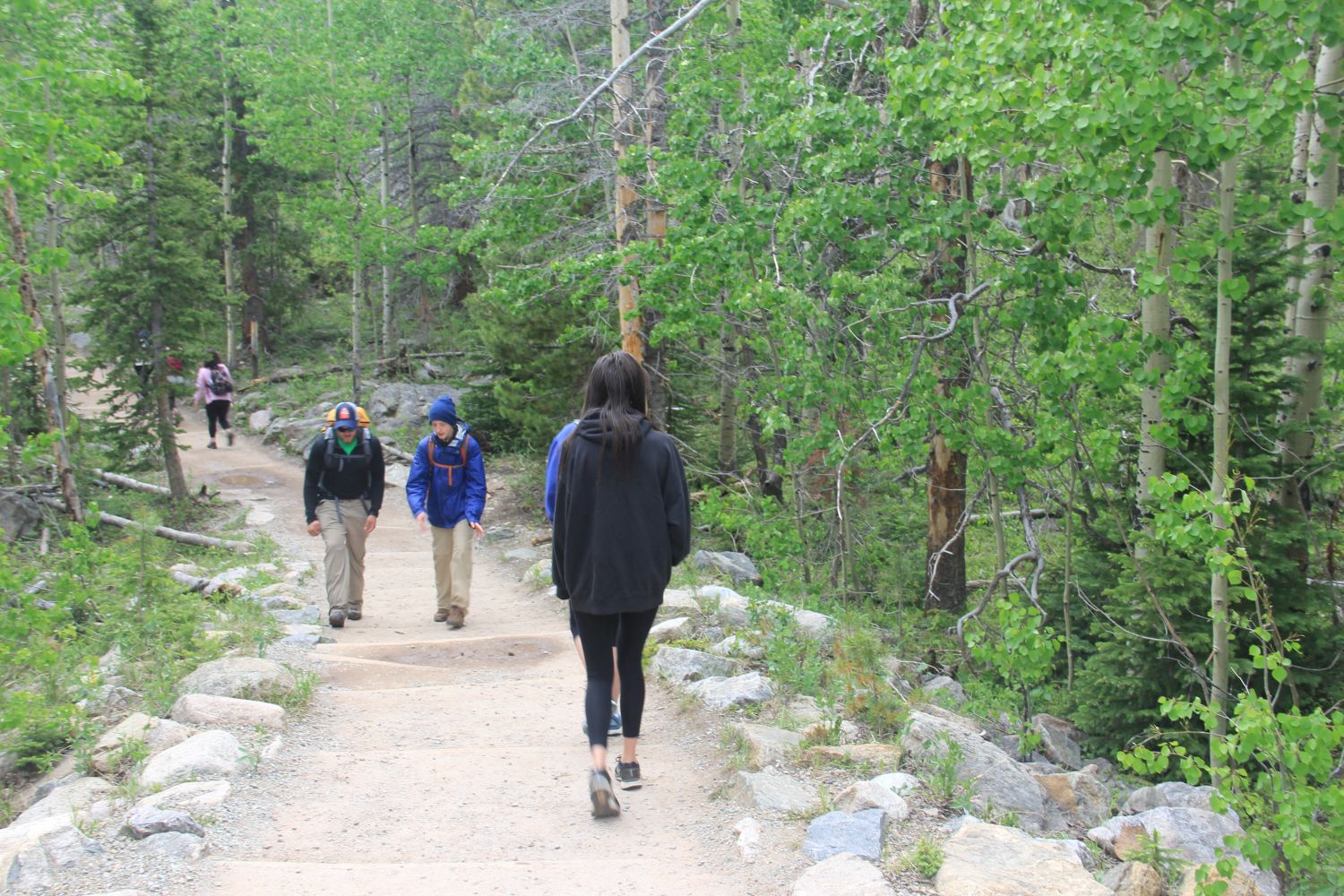 Alberta Falls Trail