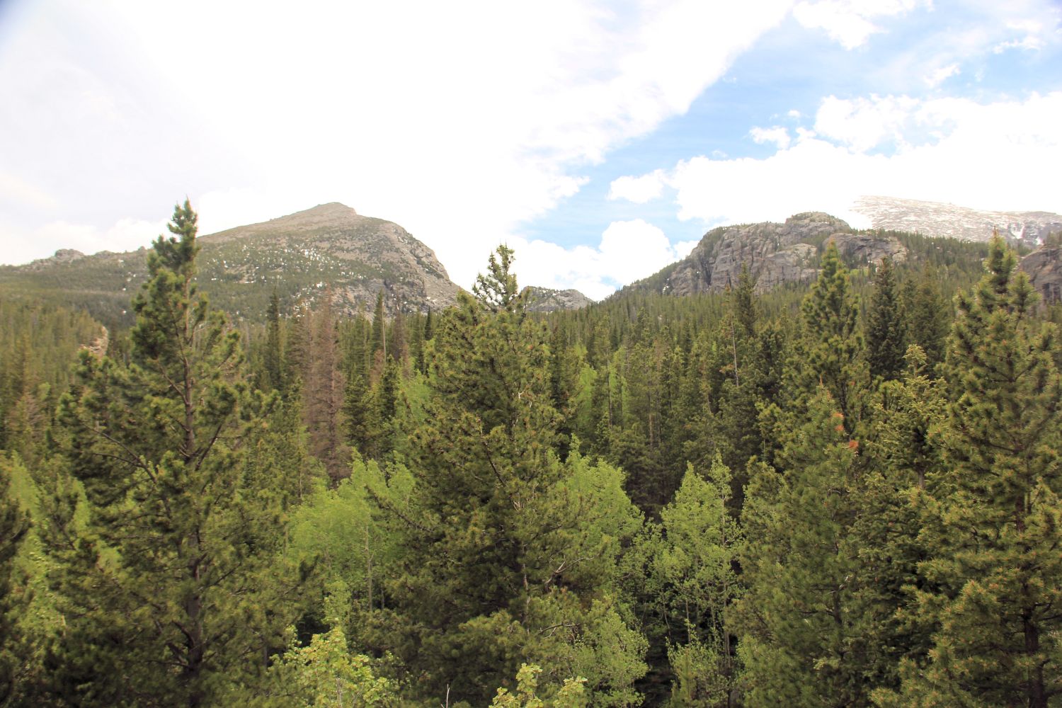 Alberta Falls Trail