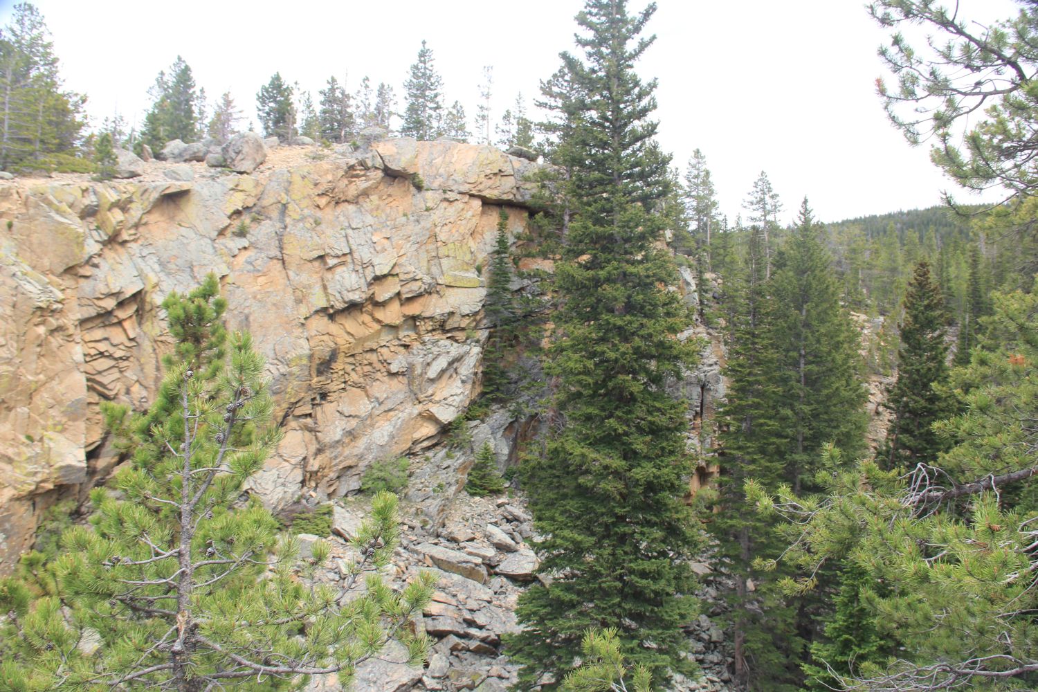 Alberta Falls Trail