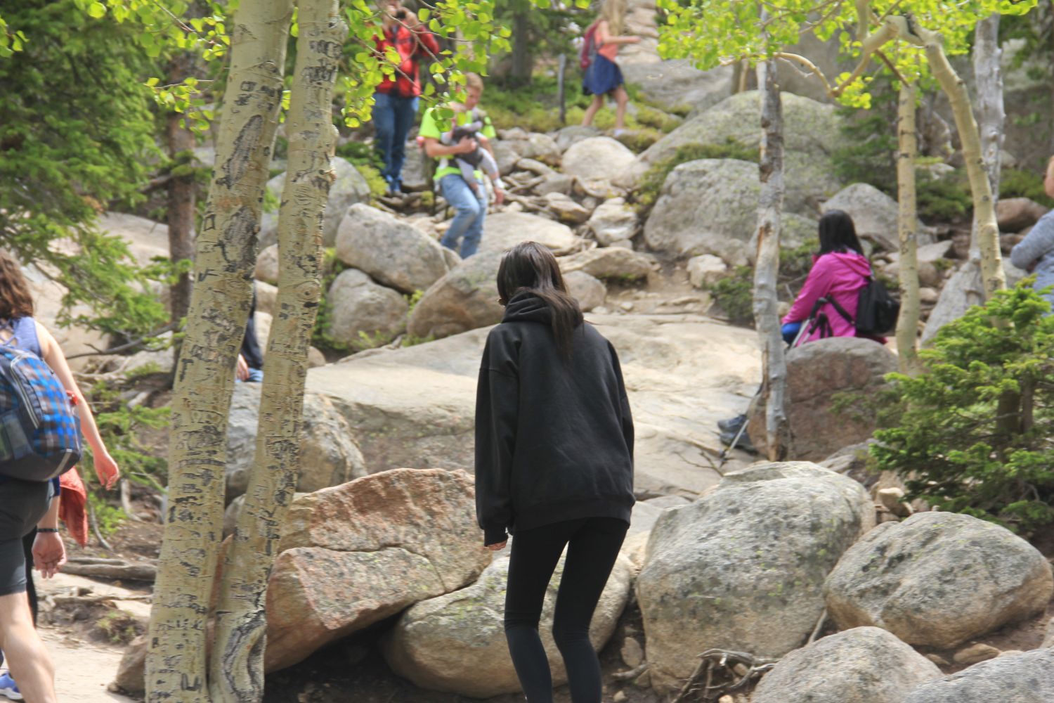 Alberta Falls Trail