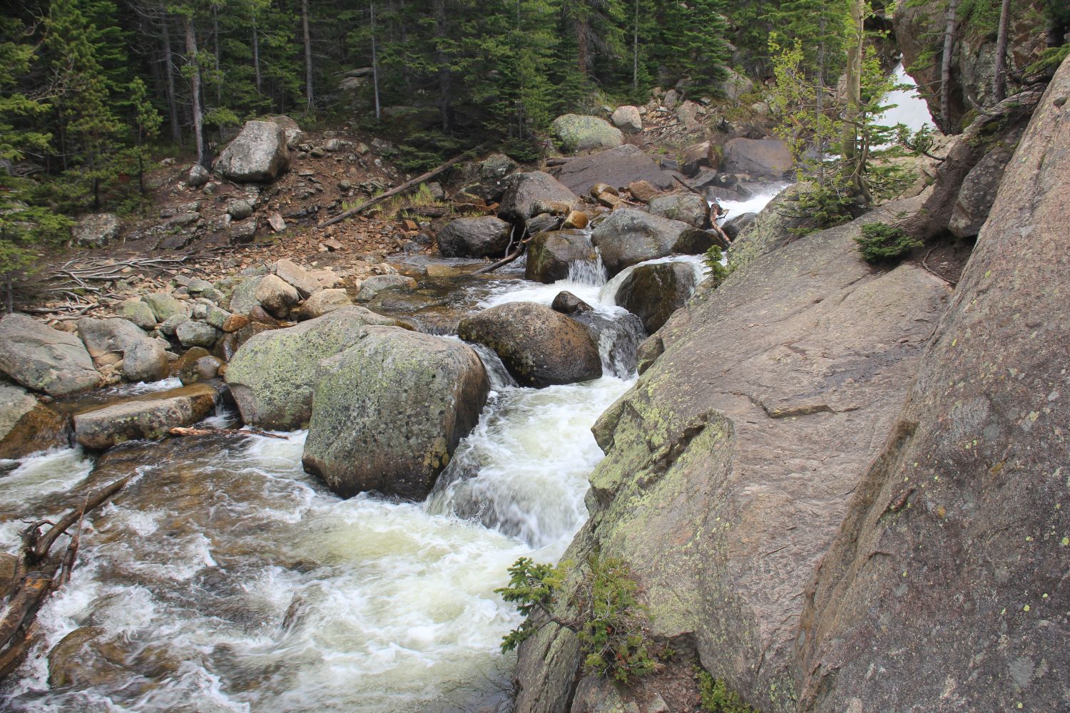 Alberta Falls Trail