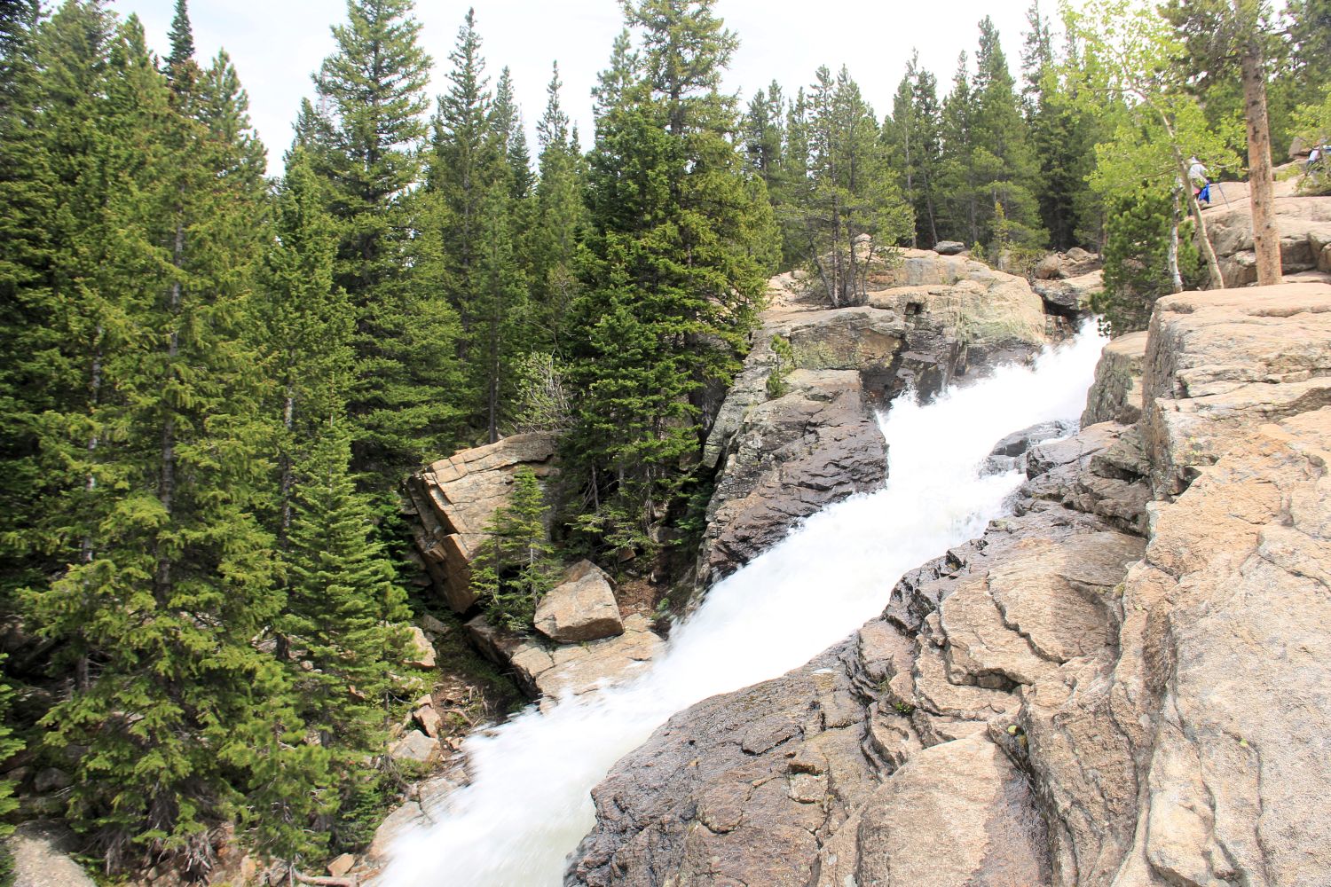 Alberta Falls Trail