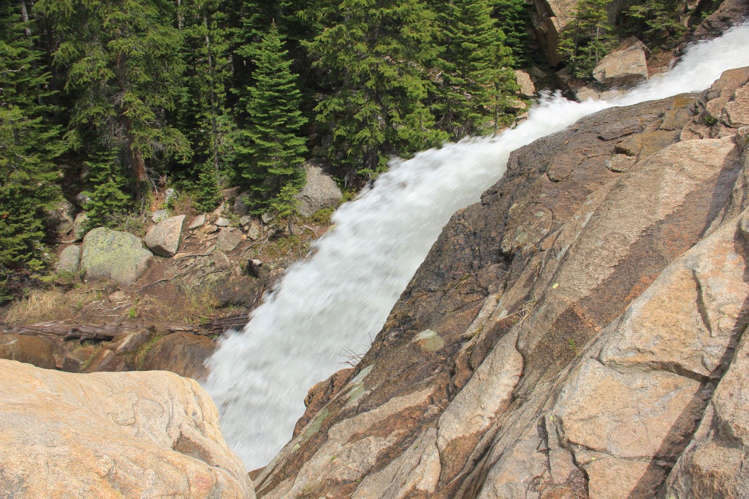 Alberta Falls Trail