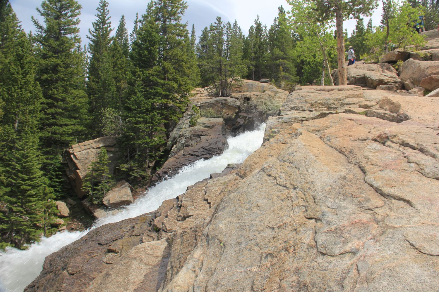 Alberta Falls Trail