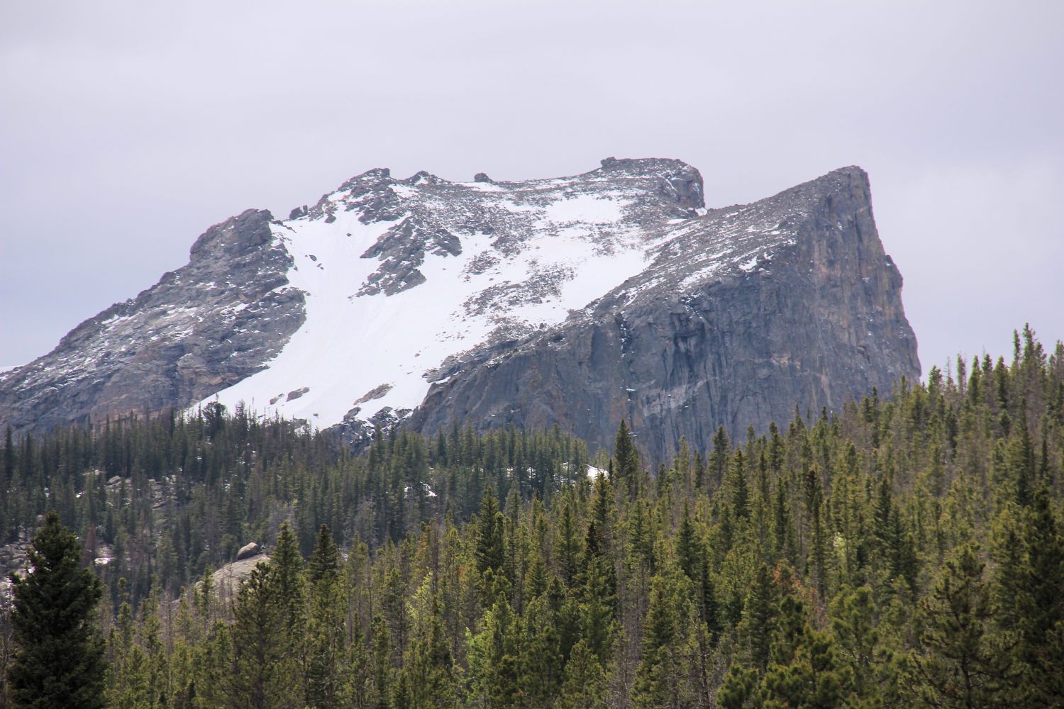 Alberta Falls Trail