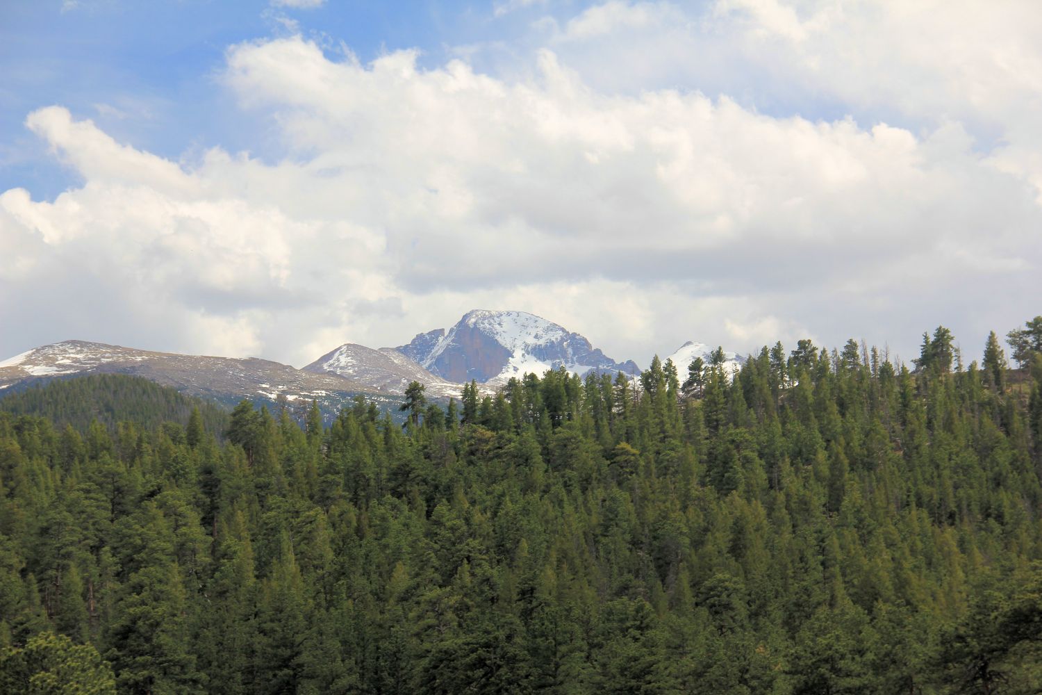 Alberta Falls Trail