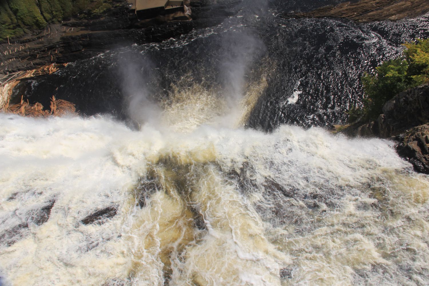 Montmorency Park