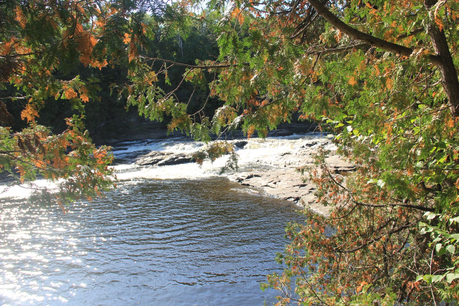 Montmorency Park