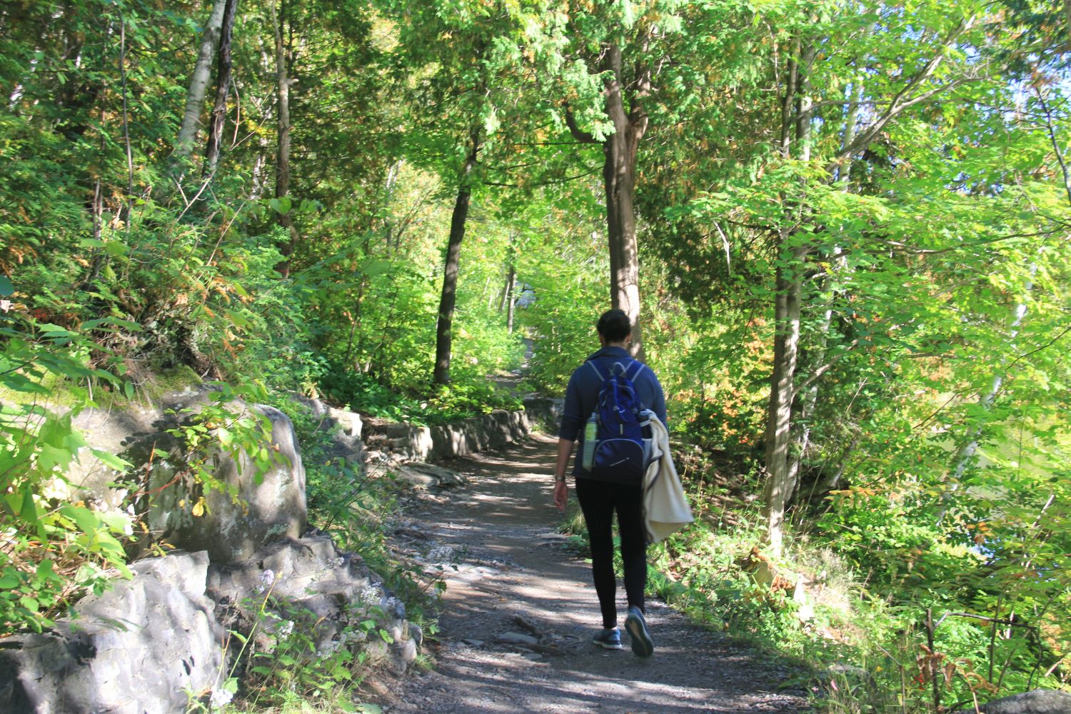 Montmorency Park