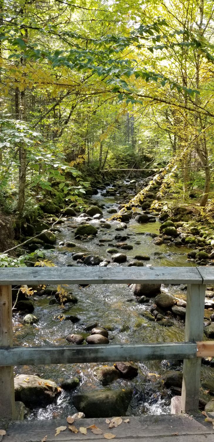 Jacques Cartier Park