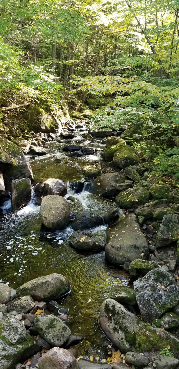 Jacques Cartier Park