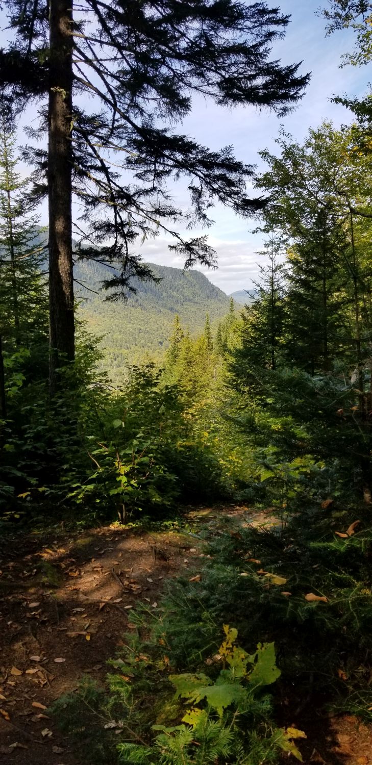 Jacques Cartier Park