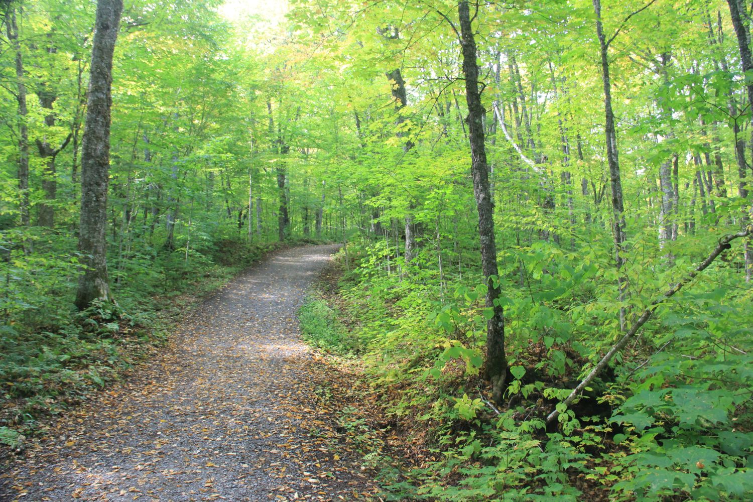 Jacques Cartier Park