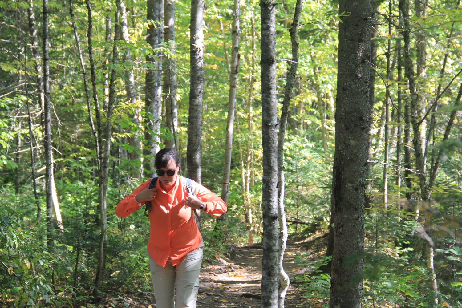 Jacques Cartier Park