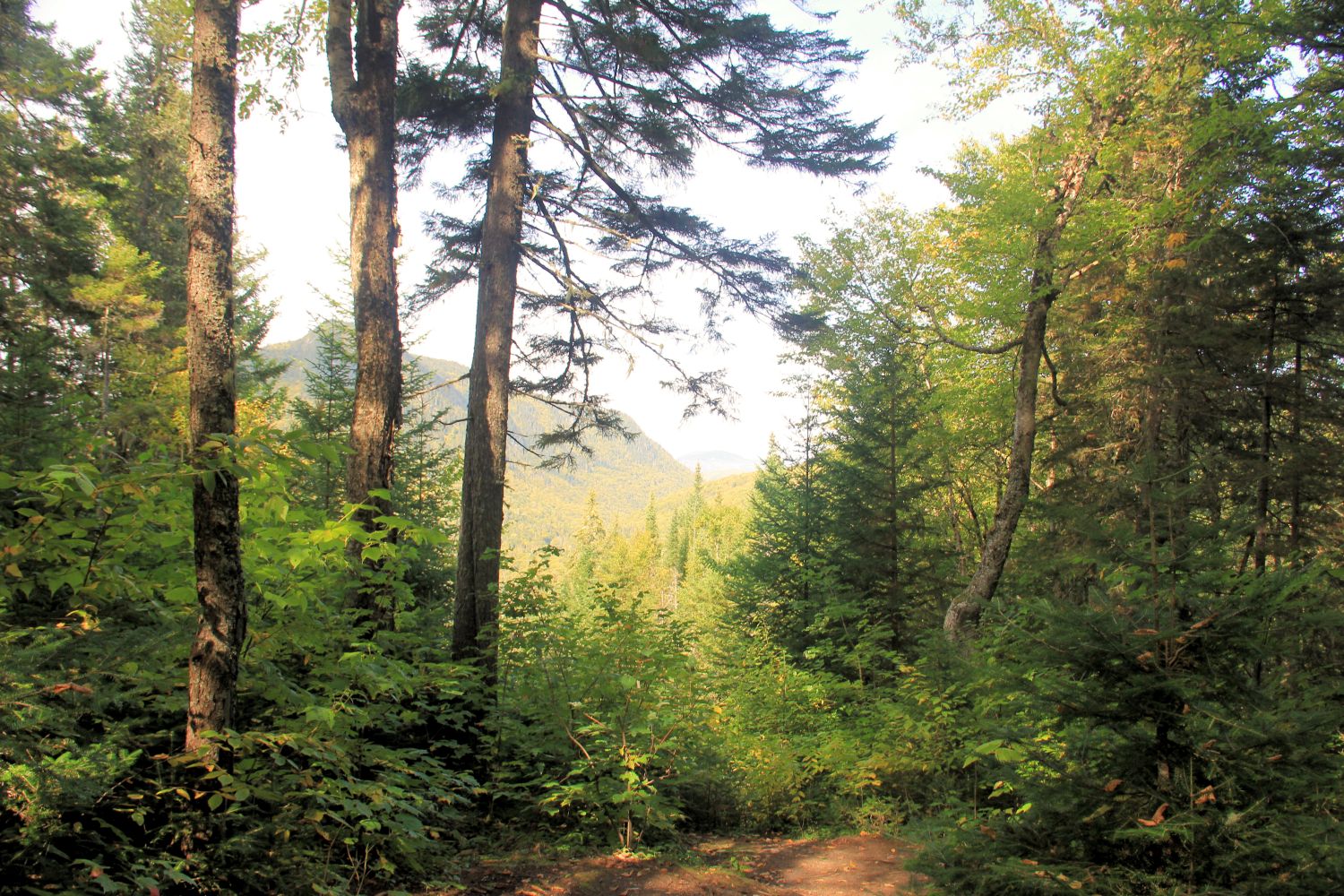 Jacques Cartier Park