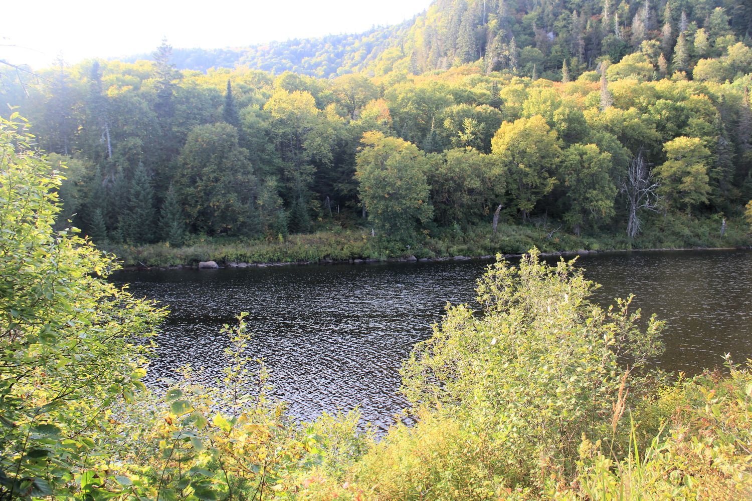 Jacques Cartier Park