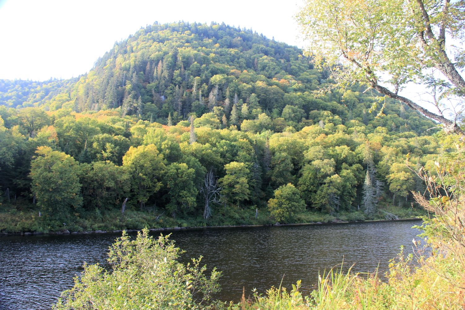 Jacques Cartier Park