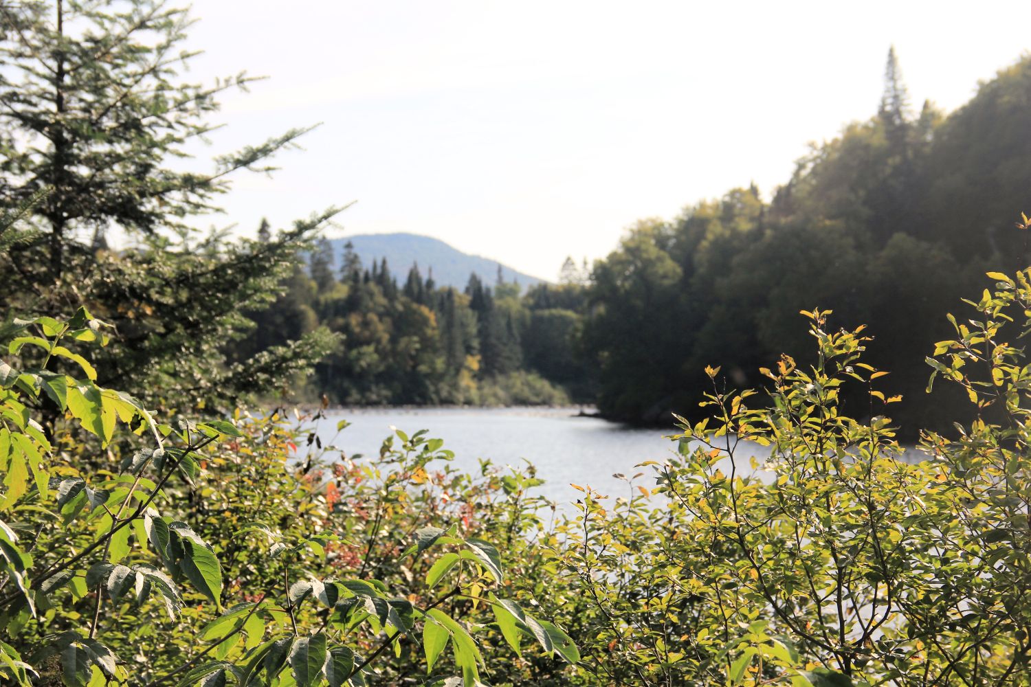 Jacques Cartier Park