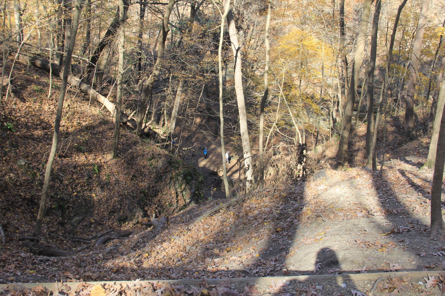 Matthiessen 