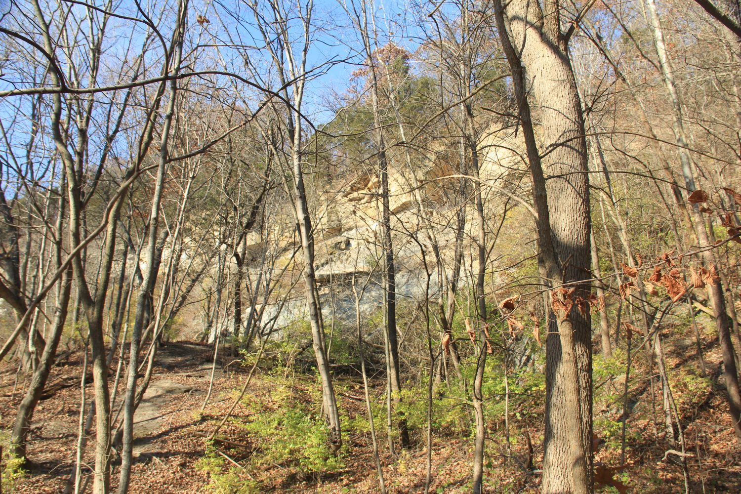 Matthiessen 