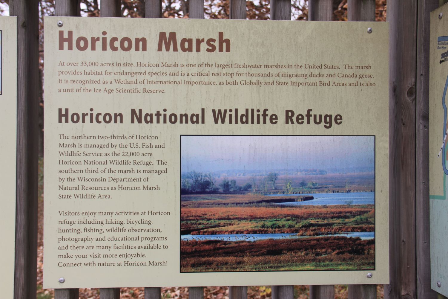 Horicon Marsh