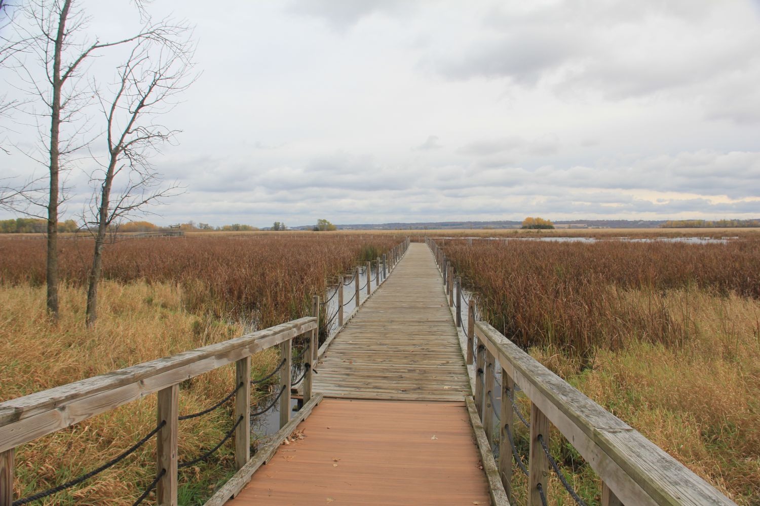 Horicon Marsh