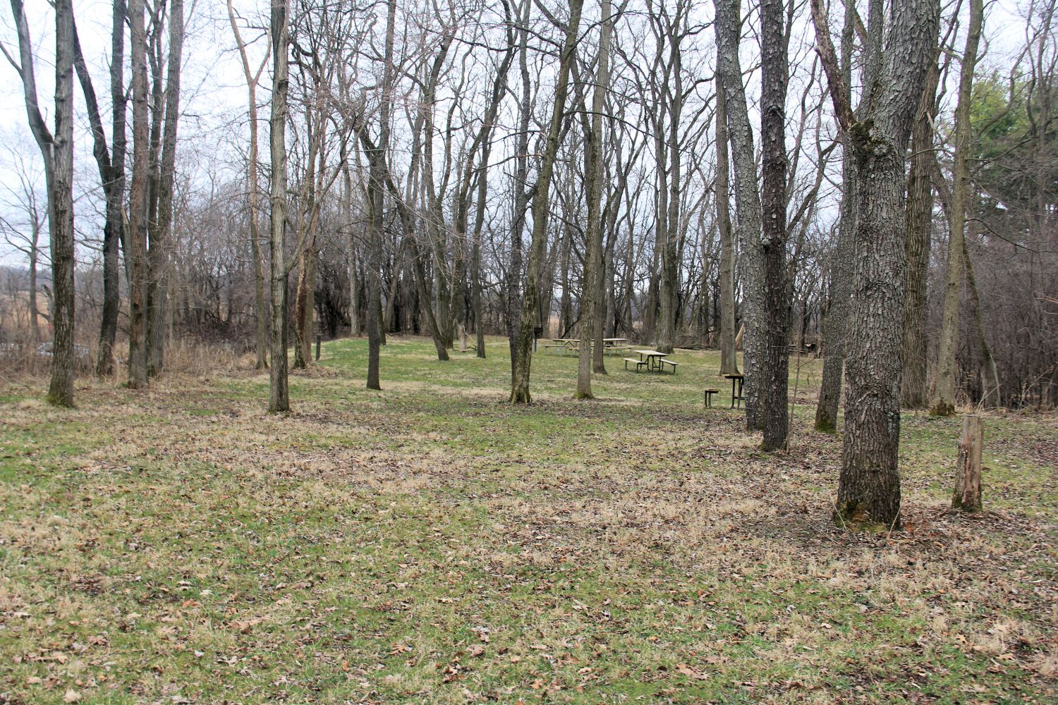 Morraine Hills State Park 
