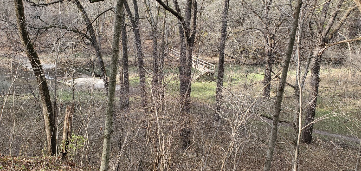 White Pines Forest State Park 